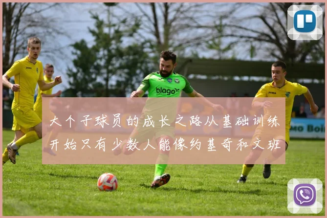 大个子球员的成长之路从基础训练开始只有少数人能像约基奇和文班那样成功
