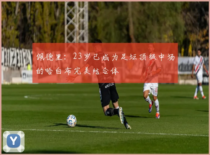 佩德里：23岁已成为足坛顶级中场的哈白布完美结合体