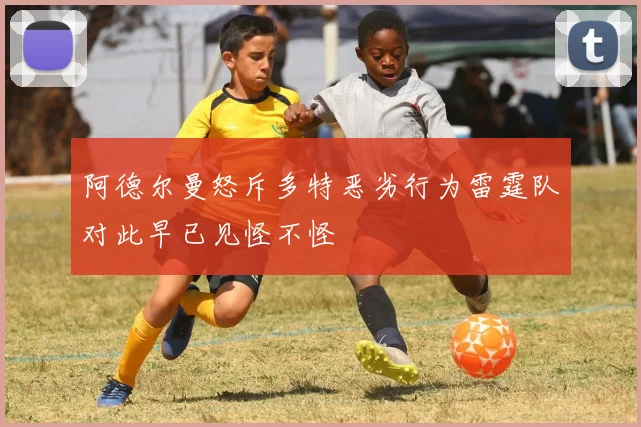 阿德尔曼怒斥多特恶劣行为雷霆队对此早已见怪不怪