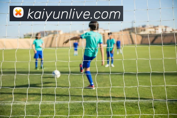 开云体育发展历程